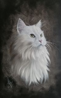 Chat blanc taille 41x27 cm