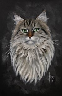 Portrait de chat taille 41x27 cm