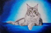 Main coon taille41x27 cm