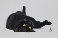 Chat noir taille 35x24 cm