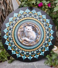 chat blanc imprim&eacute; sur plaque alluminium coll&eacute; sur bois de 46 cm